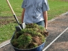 Planting Day 2008