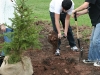 Planting Day 2008