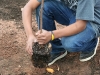 Planting Day 2008