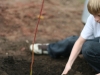 Planting Day 2008