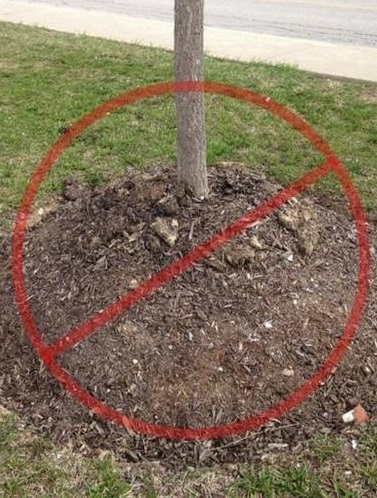 Mulch BAD